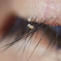 Where do your eyelashes come from?