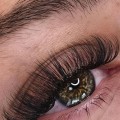 How many lash extensions should fall out first day?