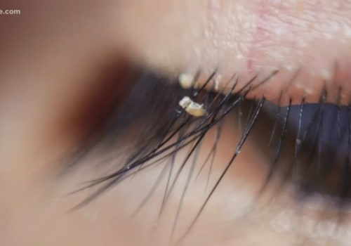 Where do your eyelashes come from?